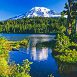 Experience the Grandeur of Mount Rainier National Park