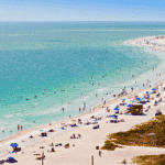 The Best Things to Do in Sarasota
