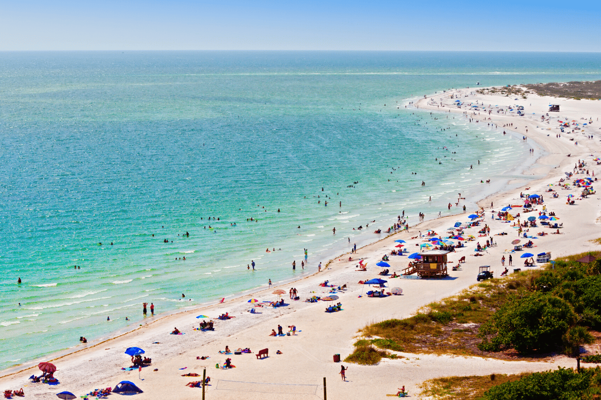The Best Things to Do in Sarasota