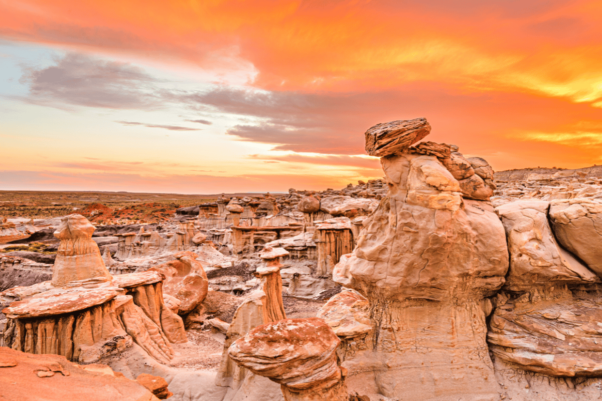 The Bisti Badlands New Mexico s Great Wilderness Go With