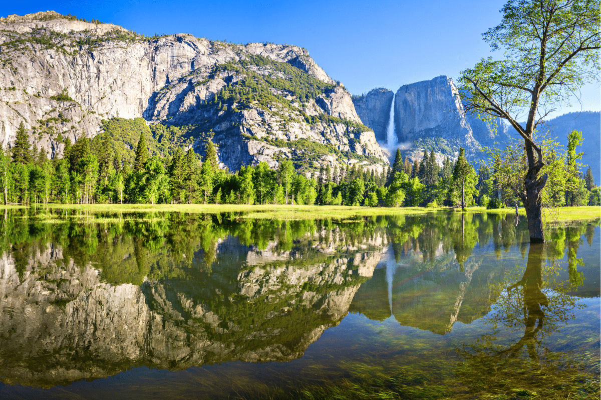 Visiting San Francisco? Yosemite Is Just a Stoneʼs Throw Away | Go With ...